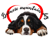 Berner Sennenhund