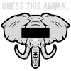 Guess this animal