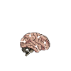 Automechaniker Anatomie