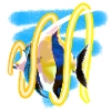 Sea fish