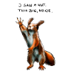 Funny Impostor Squirrel