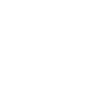 Écureuil de l'escouade Chipmunk