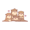 Cute Otters Family