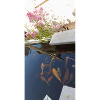 Koi
