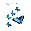 Collection Papillon 2022