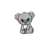 Funny Koala Lover Koala Whisperer