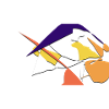Symétrie