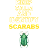 Keep calm and identify beetles