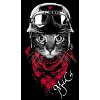 Cat Collection