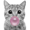 Bubble Katze