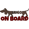 HUGO on board