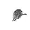 Tarsier Affe grumpy