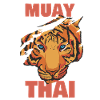 Muay Thai Tigre