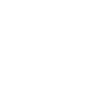 Schnauzer géant « Black Edition »