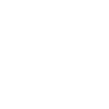 Samoyède « Black Edition »