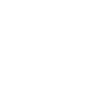 Australian Shepherd "Black Edition"