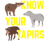 Know Your Tapirs Wildlife Keepers