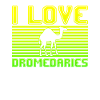 I love dromedaries