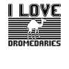 I love dromedaries