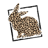 Rabbit well camouflaged in leopard look