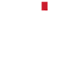 Arbitro cartellino rosso Shiri fallo