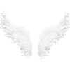 wings,angel wings,wings,angels,guardian angels