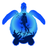Sea Turtle and diver