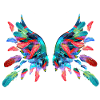 angel wings,wings,angelwings,feathers,feathers