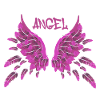 angel,pink,feathers,angelwings,wings