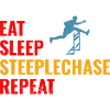 Steeplechase Race Steeplechaser Athlétisme