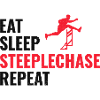Steeplechase Race Steeplechaser Athlétisme