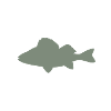 Barsch Leidenschaft - Perch Passion