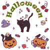 Halloween time. Cat Halloween pumpkin.
