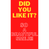 DID YOU LIKE IT?