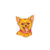 Chihuahua Dog