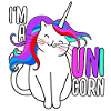 Einhorn Katze Geschenk