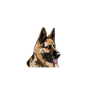 Deutscher Schäferhund Hund