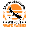 Gottesanbeterin Geschenk Mantis Fangschrecke