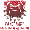 Angry face ansikte arg svenska swedish hund