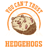 Hedgehog Gift Goose Gel