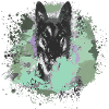shepherd dog,dog,graffiti,camouflage,kaki