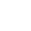 modèle unique