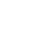 Lion minimalist