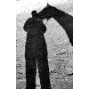 Pferd Schatten
