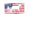 Harness racing american flag