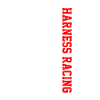 Harness racing american flag