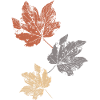 Bunte Herbstblätter Herbstlaub