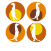 Meerkat Retro Meerkats