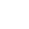 Erdmännchen Crazy Meerkat Lady