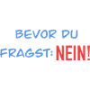 Bevor du fragst Nein